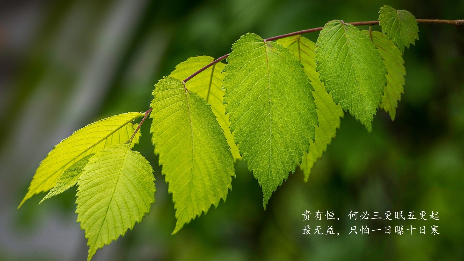 Dota 2 Fnatic意外失利 淘汰赛提前登场，dota2淘汰赛规则