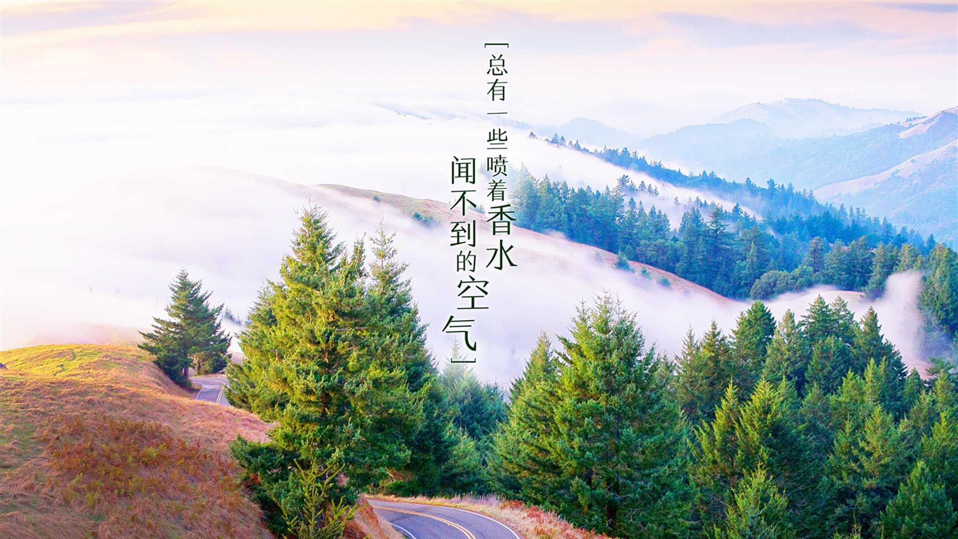 Dota 2 Fnatic意外失利 淘汰赛提前登场，dota2淘汰赛规则