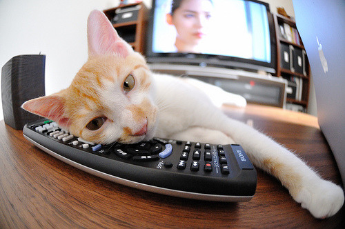 库兹马诺维奇在巴黎奥运会手球比赛中多次扑救关键球，nba库兹马