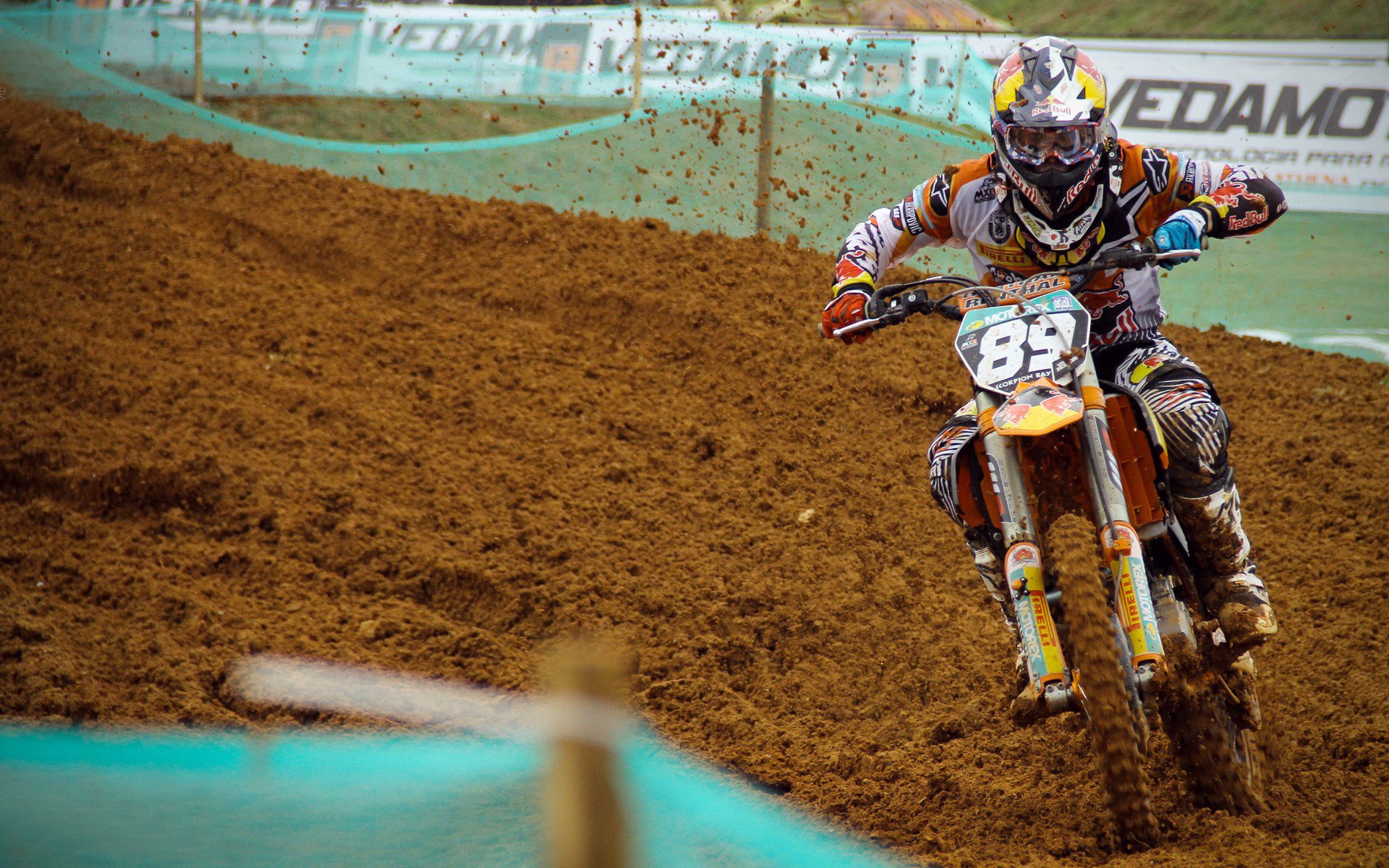 开云·Kaiyun网页版-长距离泳王新星？贾瓦迪逐渐崭露头角