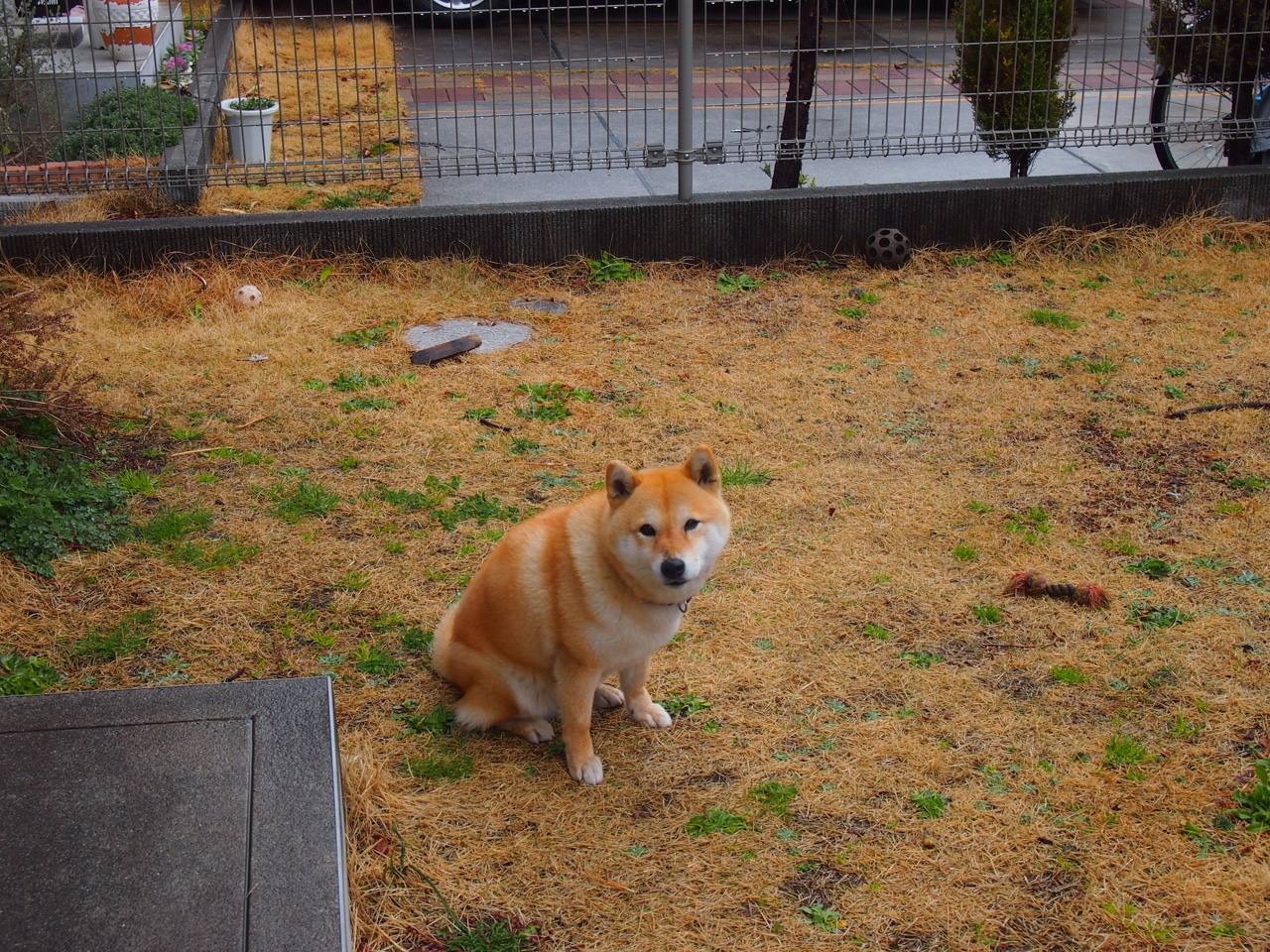 _魔术队打出精彩配合，力克强敌_，魔术队战术